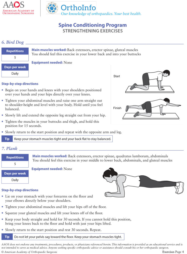 Spine Conditioning Program